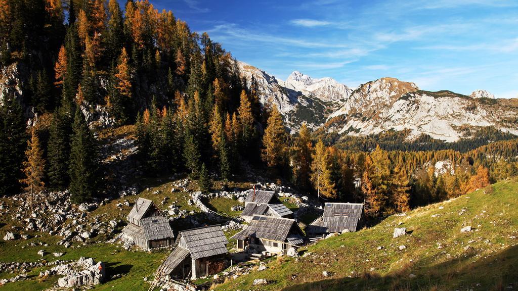 Apartments Bohinjskih 7 Экстерьер фото
